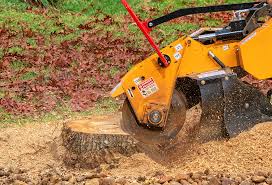 Best Stump Grinding and Removal  in , NY